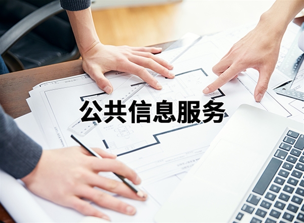 公共信息服務(wù)