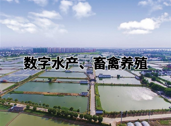 數(shù)字水產(chǎn)、畜禽養(yǎng)殖